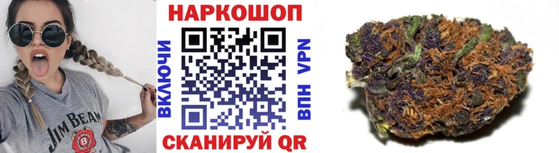 Что такое Карасук Метадон  АМФ  СОЛЬ  Мефедрон  Каннабис  Гашиш  Псилоцибиновые грибы 