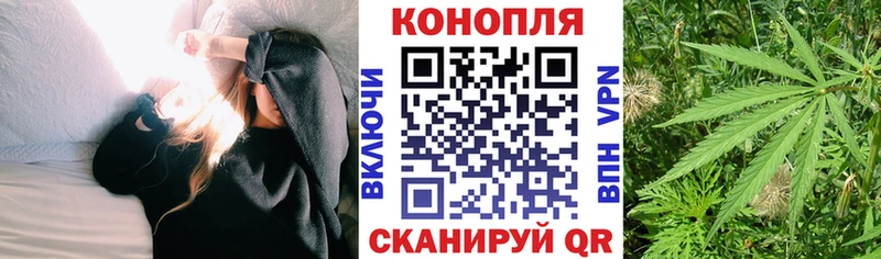 Конопля OG Kush  закладка  Карасук 